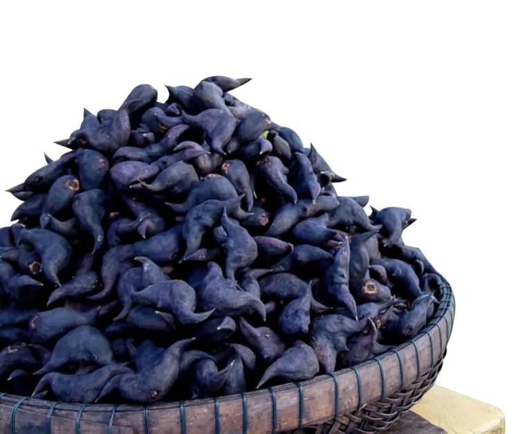 cu au