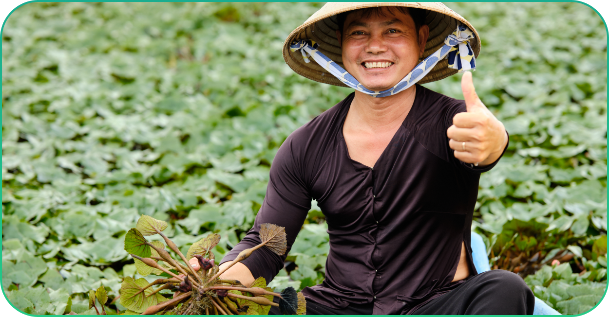 aumil việt nam
