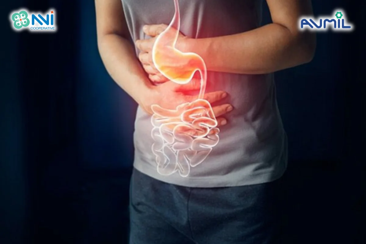 Sữa bột củ ấu hỗ trợ dạ dày