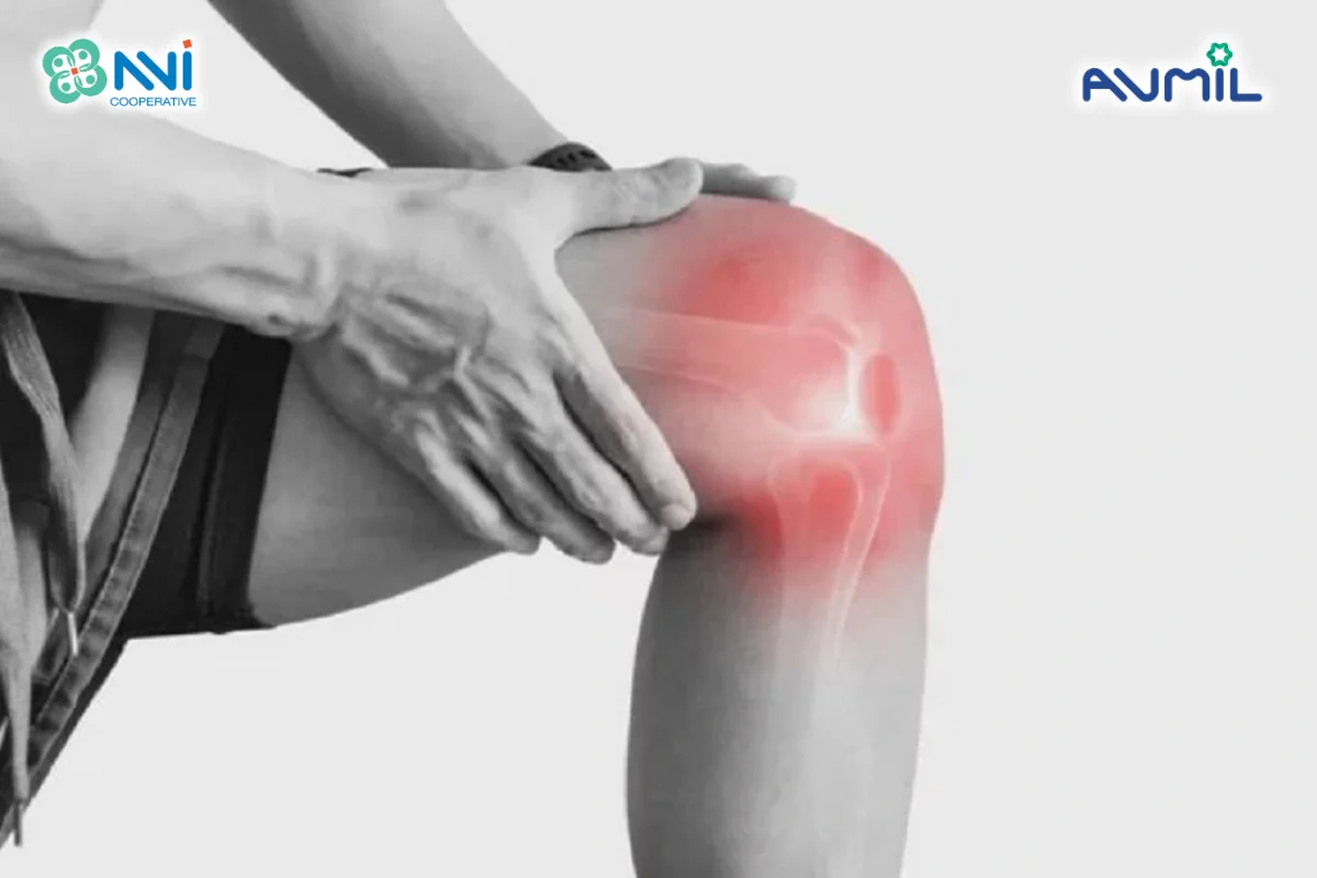Sữa bột củ ấu giúp chắc khỏe xương khớp