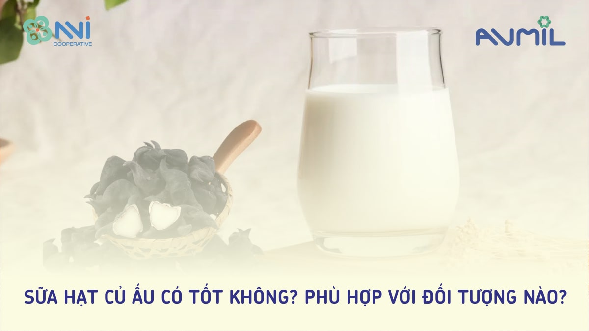 Sữa hạt củ ấu có tốt không? Phù hợp với đối tượng nào?