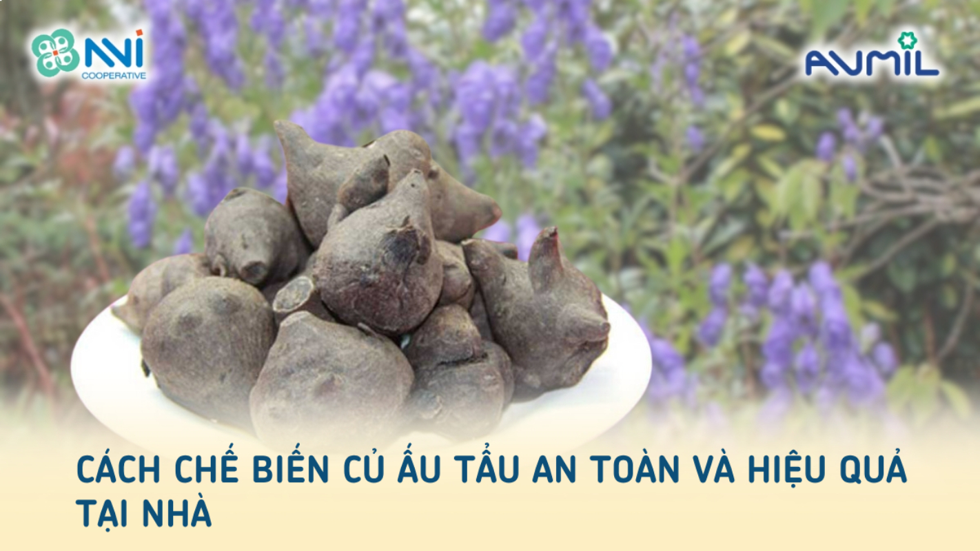 Cách chế biến củ ấu tẩu an toàn và hiệu quả tại nhà