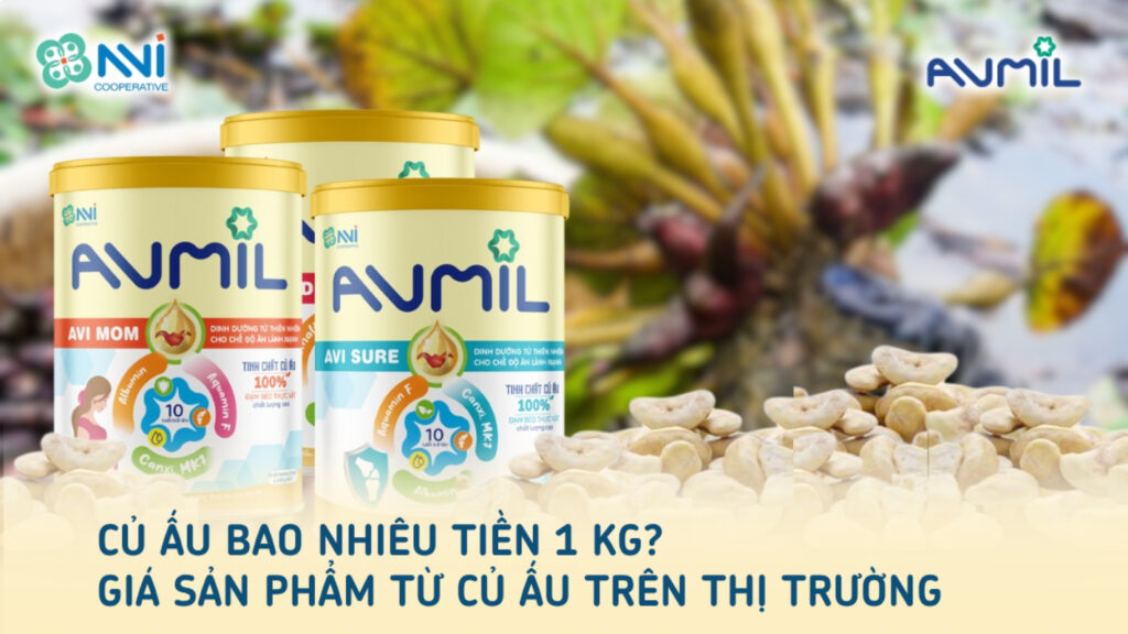 Củ ấu bao nhiêu tiền 1kg? Giá sản phẩm từ củ ấu trên thị trường