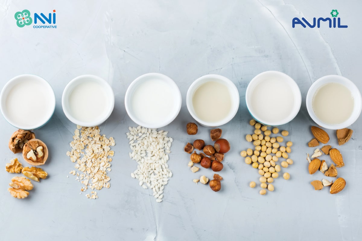 Quy trình chế biến sữa hạt đạt tiêu chuẩn đảm bảo giá trị dinh dưỡng cho sản phẩm