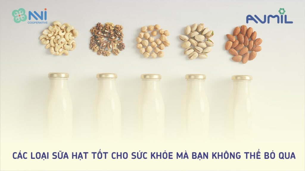 Các loại sữa hạt tốt cho sức khỏe mà bạn không thể bỏ qua
