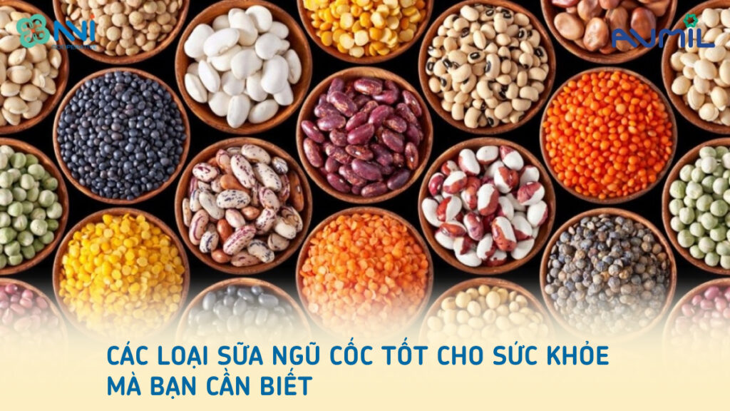 Các loại sữa ngũ cốc tốt cho sức khỏe mà bạn cần biết