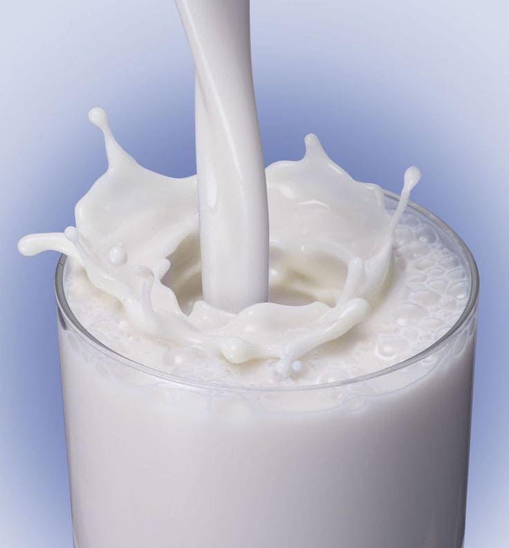 các loại protein có trong sữa