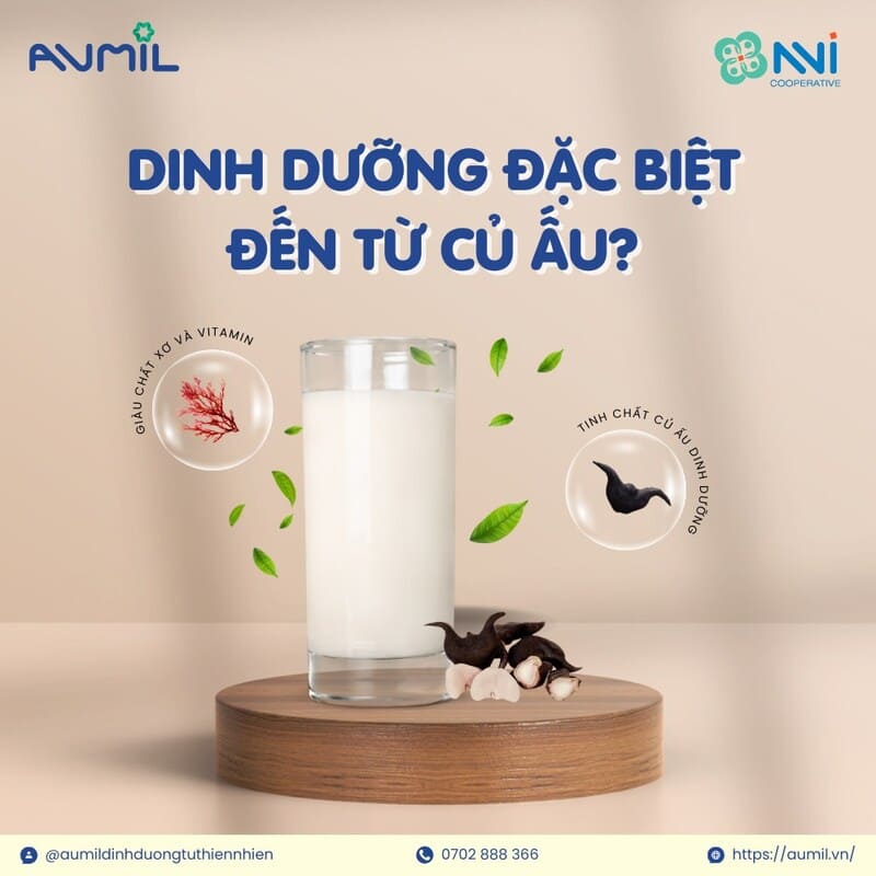 sữa củ ấu Aumil