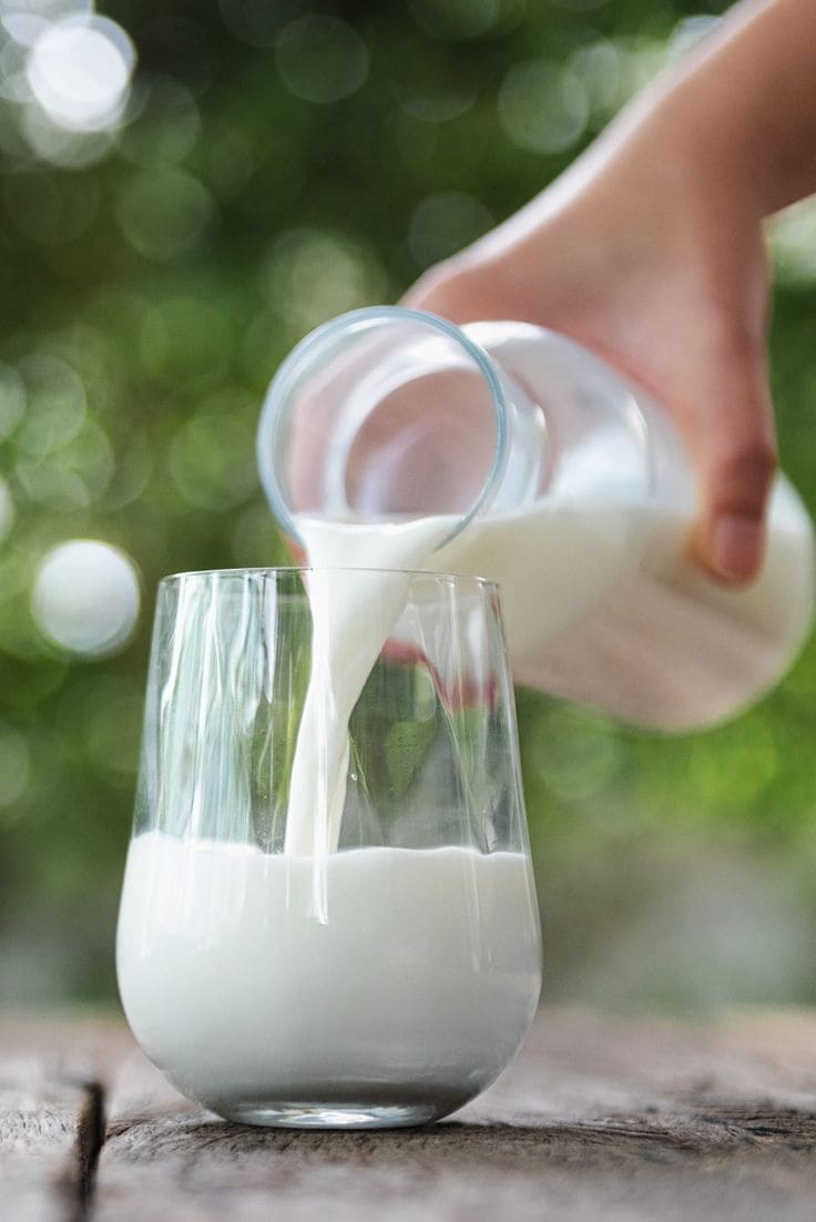 các loại sữa giàu protein