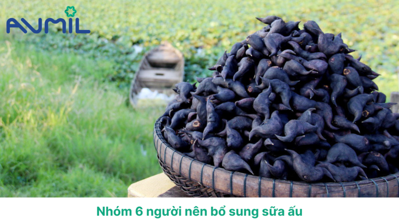 ai nên uống sữa củ ấu