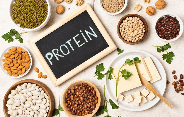 thực vật là nguồn cung cấp protein