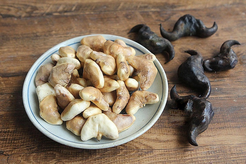 sữa củ ấu