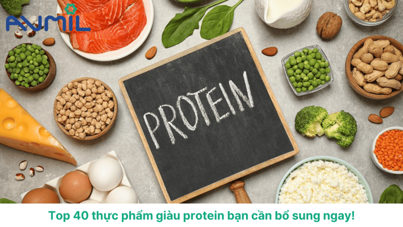 thuc pham giau protein