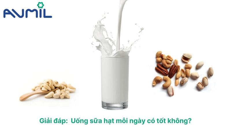 uống sữa hạt mỗi ngày có tốt không