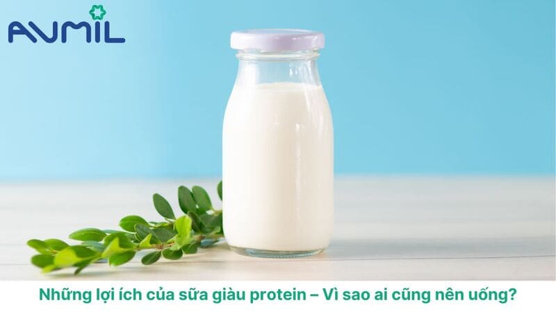 sữa nhiều protein