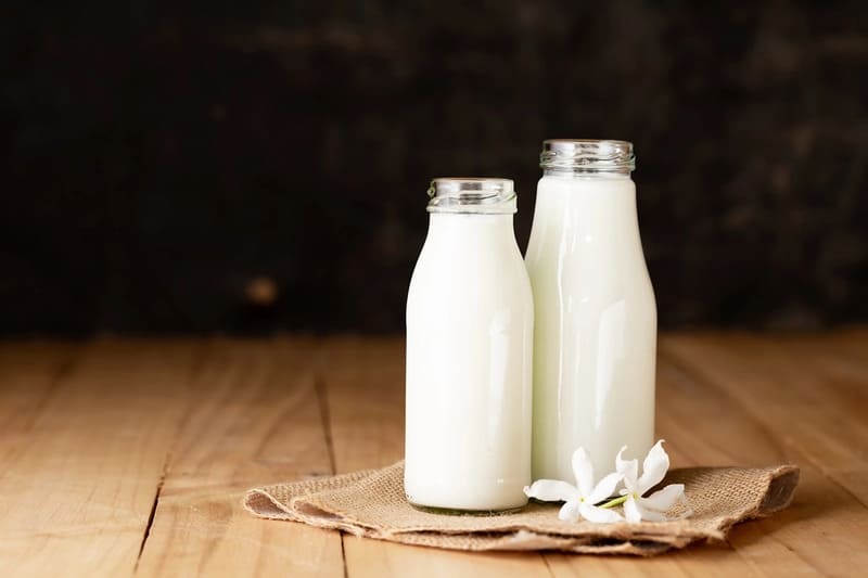 sữa nhiều protein
